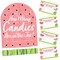 Big Dot of Happiness Sweet Watermelon - How Many Candies Fruit Party Game - 1 Stand and 40 Cards - Candy Guessing Game
